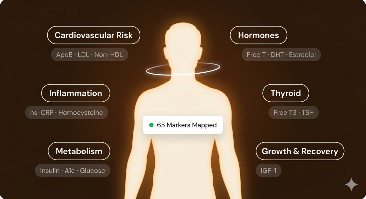 Biomarker body map
