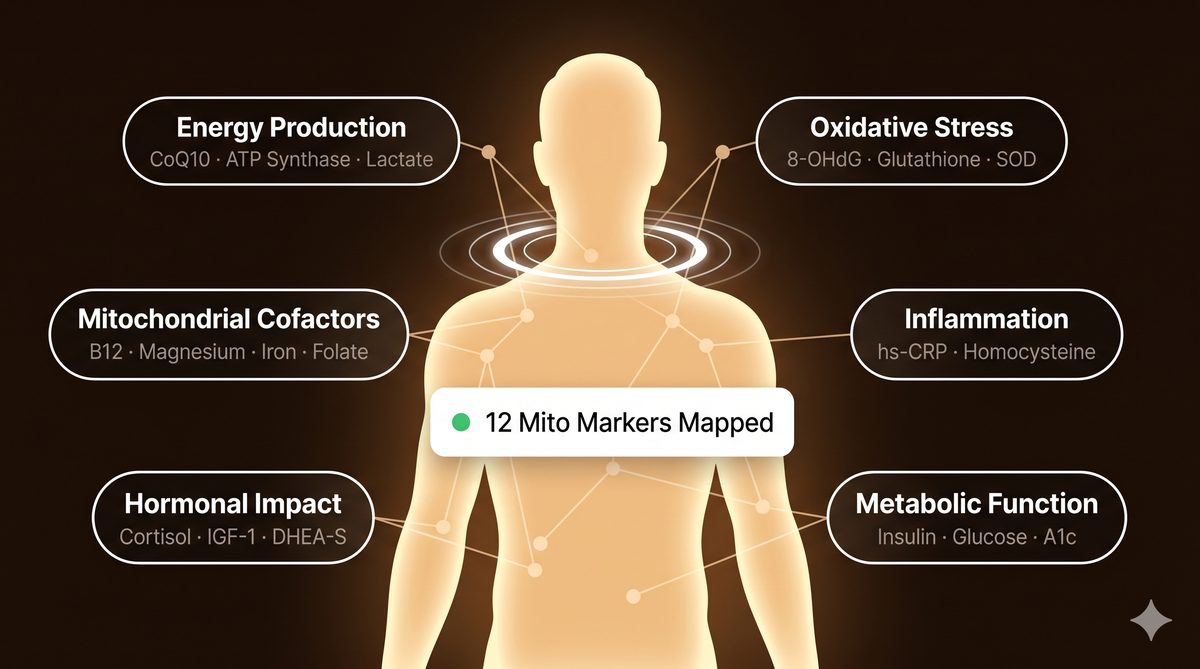 Biomarker body map